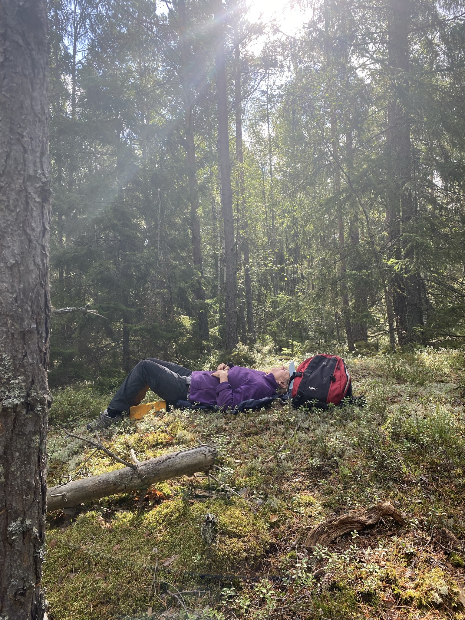 Person som skogsbadar i en skog.