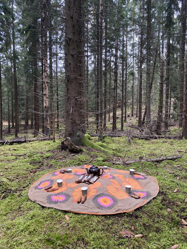 Uppdukat för fika i skogen.